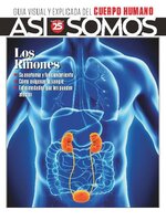 Así Somos - El cuerpo humano